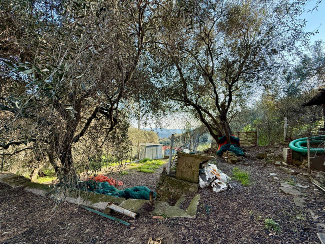 Casa Indipendente in vendita a Imperia