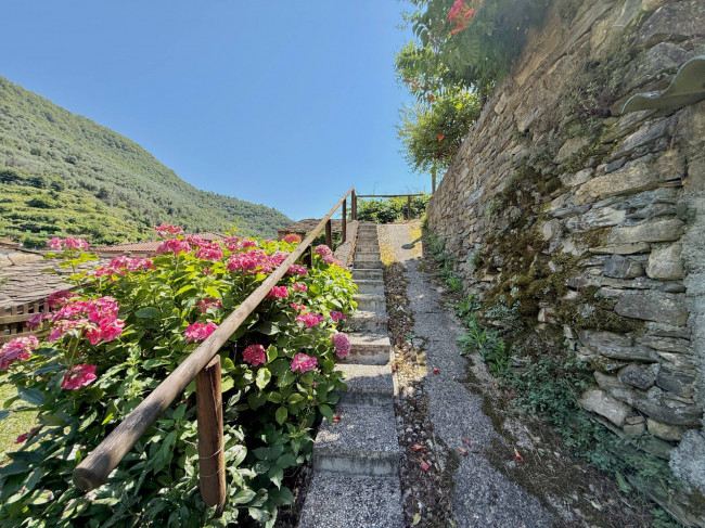 Hausteil zu verkaufen in Rezzo