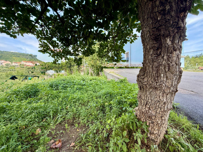 Casa Indipendente in vendita a Vado Ligure