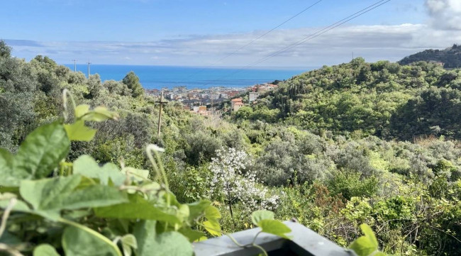 Two-roomed flat for sale in Alassio