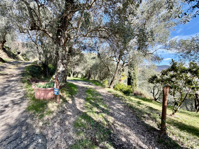 Casale in vendita a Ranzo