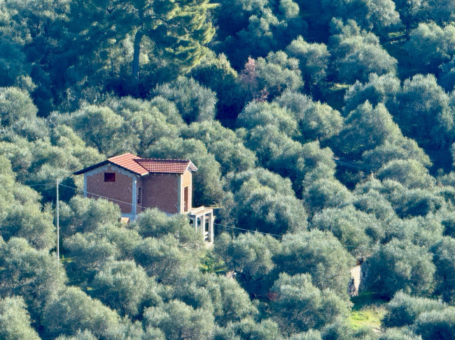 Villa zu verkaufen in Diano San Pietro