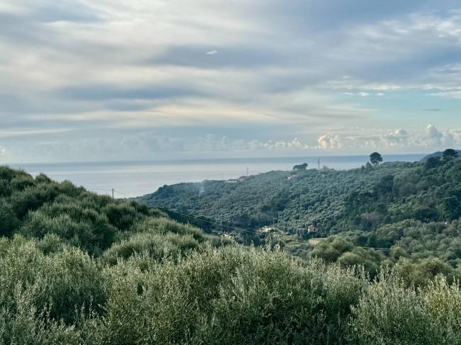Villa zu verkaufen in Diano San Pietro