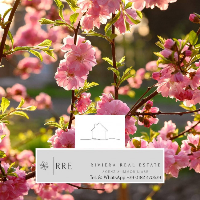 Agenzia immobiliare a Alassio