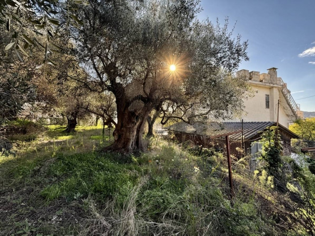 Villa zu verkaufen in Diano Marina