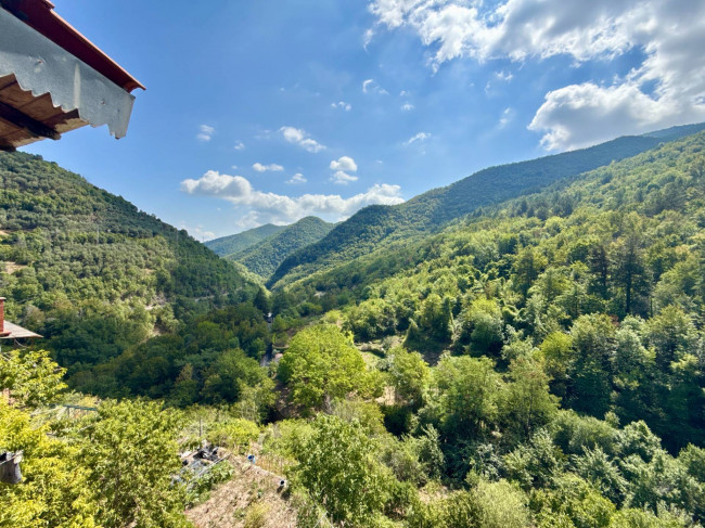 Casa Semindipendente in vendita a Rezzo