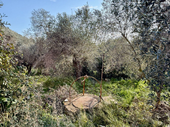 Villa for sale in Imperia