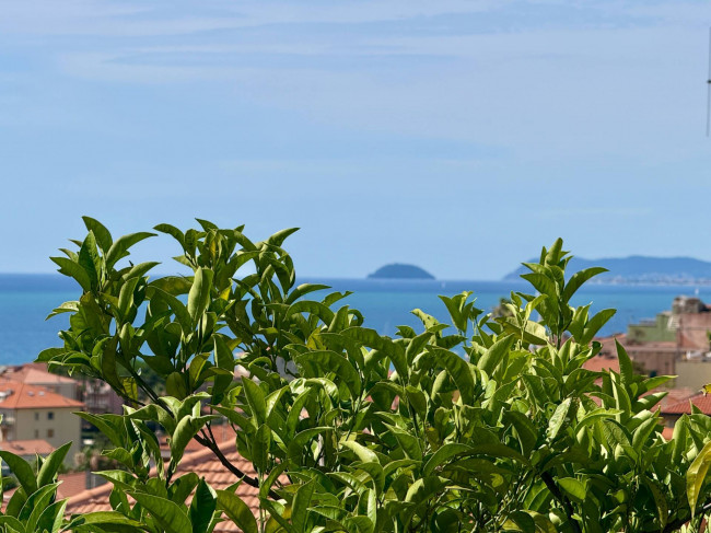 Villa in vendita a Borgio Verezzi