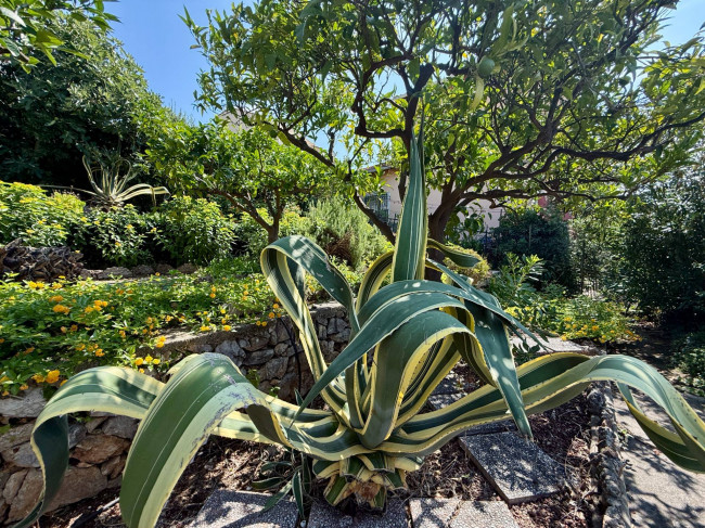 Villa zu verkaufen in Borgio Verezzi