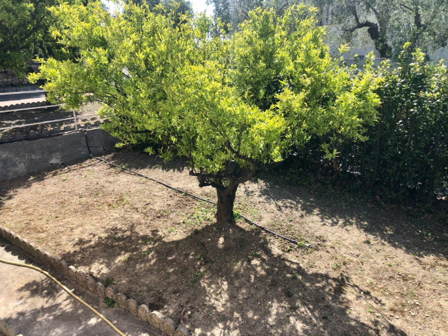 Villa for sale in Diano Marina