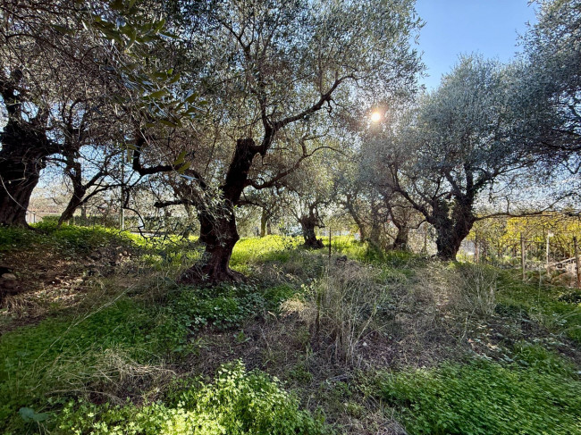 Villa for sale in Diano Marina