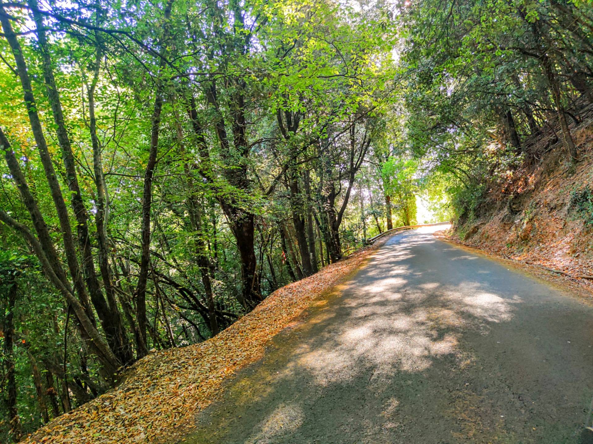 Villa in vendita a Monticiano