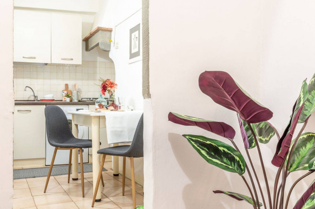 Appartamento in affitto a Firenze