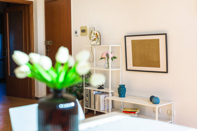 Appartamento in vendita a San Vincenzo