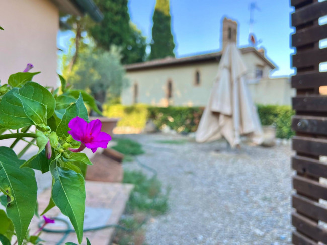 Casa singola in vendita a San Gimignano