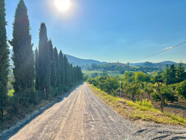 Casa singola in vendita a San Gimignano