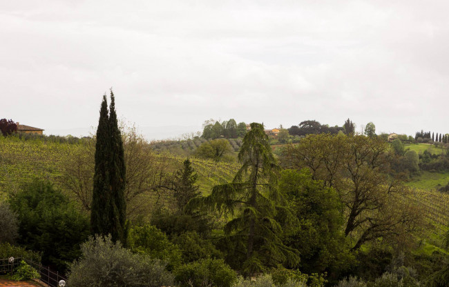 Casa singola in vendita a Siena