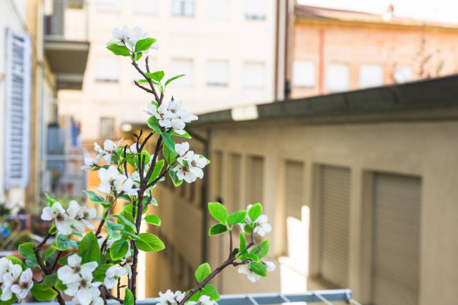 Appartamento in vendita a Siena