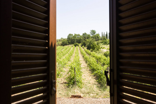 Casa singola in vendita a Castelnuovo Berardenga