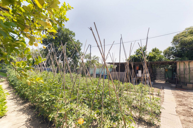 Appartamento in vendita a Silvi