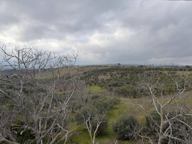 Appartamento in vendita a Pianella