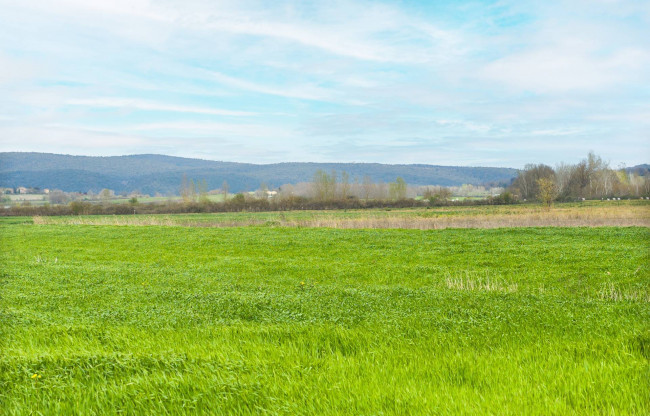 Villette a schiera in vendita a Sovicille