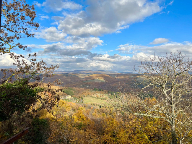 Appartamento in vendita a Radda in Chianti