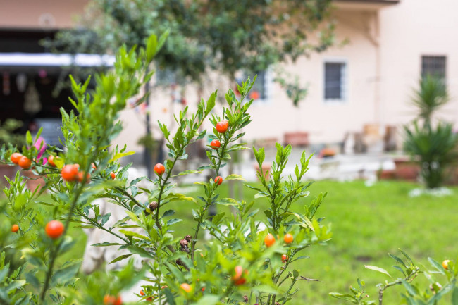 Villa in vendita a Firenze