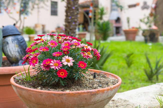 Villa in vendita a Firenze