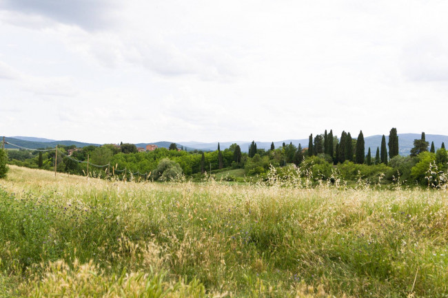 Appartamento in vendita a Sovicille