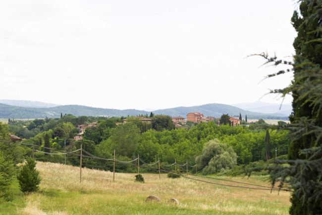 Appartamento in vendita a Sovicille