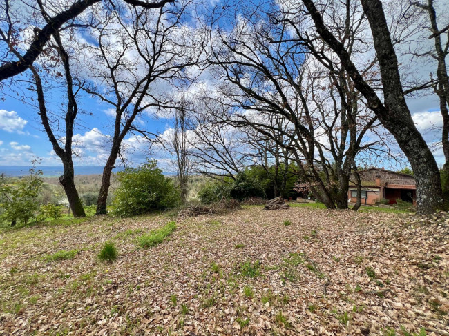 Villa in vendita a Castelnuovo Berardenga