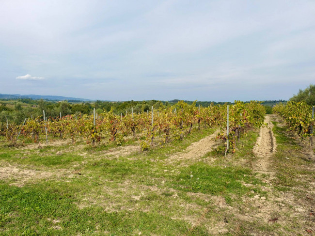 Appartamento in vendita a San Gimignano