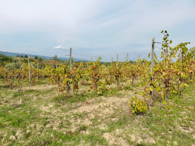 Appartamento in vendita a San Gimignano