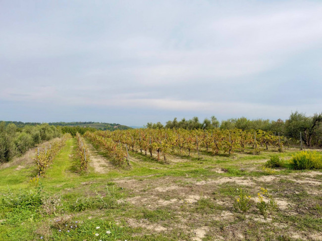 Appartamento in vendita a San Gimignano