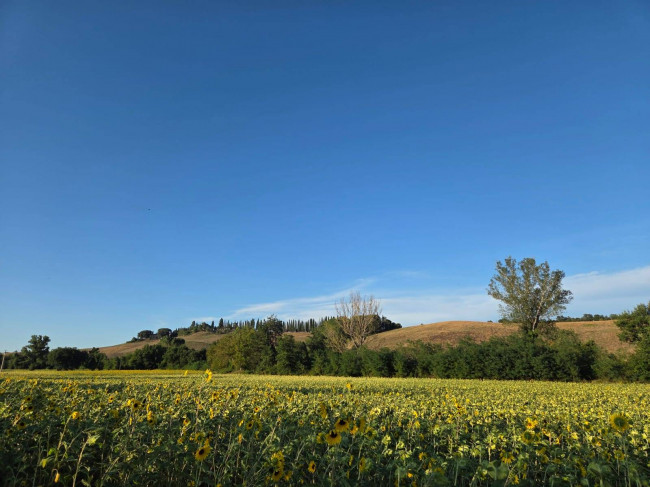 Appartamento in vendita a Siena