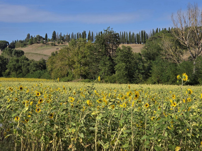 Appartamento in vendita a Siena