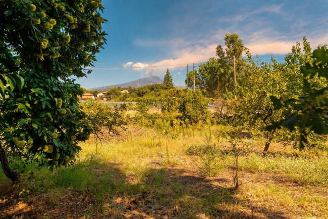 Casa singola in vendita a Nicolosi 