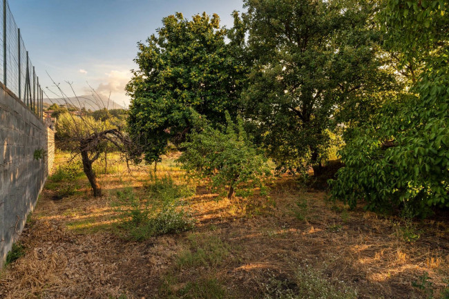 Casa singola in vendita a Nicolosi 