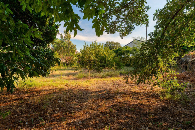 Casa singola in vendita a Nicolosi 