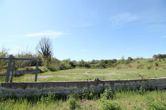 Terreno edificabile in vendita a Calvi Risorta