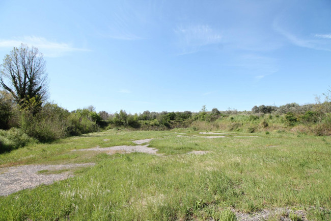 Terreno edificabile in vendita a Calvi Risorta