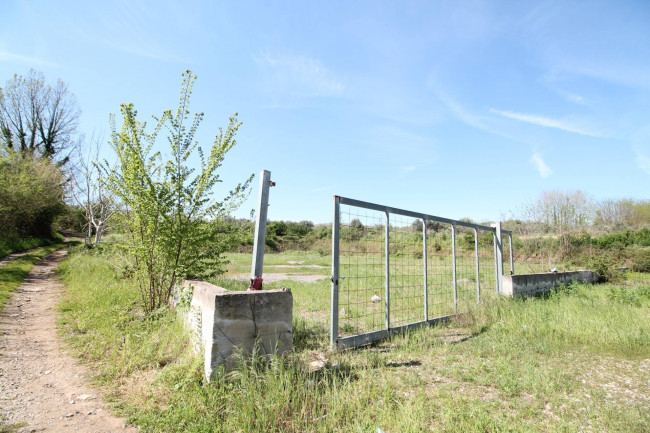 Terreno edificabile in vendita a Calvi Risorta