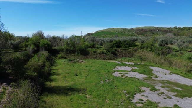 Terreno edificabile in vendita a Calvi Risorta