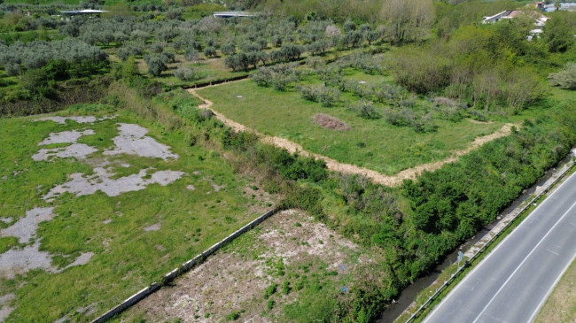 Terreno edificabile in vendita a Calvi Risorta