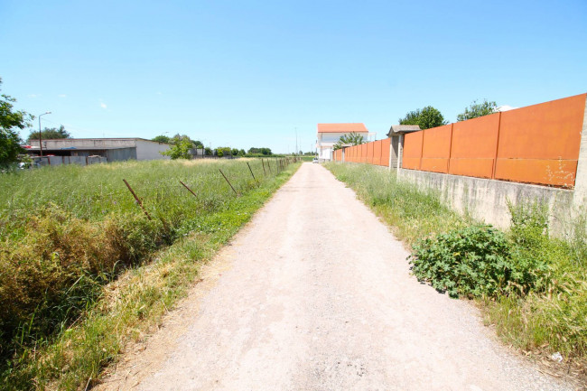 Terreno Agricolo in vendita a Villa di Briano