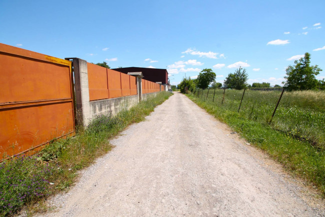 Terreno Agricolo in vendita a Villa di Briano