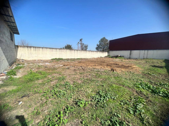 Terreno Agricolo in vendita a Villa di Briano