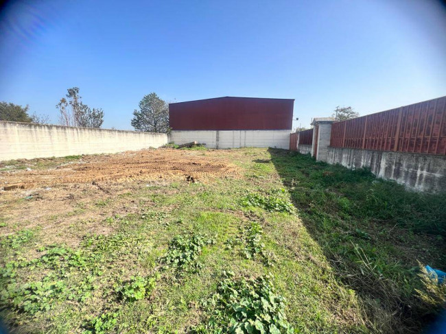 Terreno Agricolo in vendita a Villa di Briano