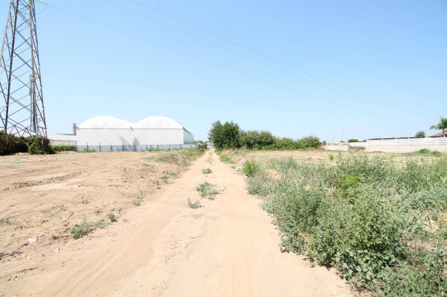 Terreno Agricolo in vendita a Villa Literno